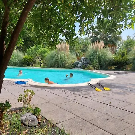 Piersepp 4* Trappitello