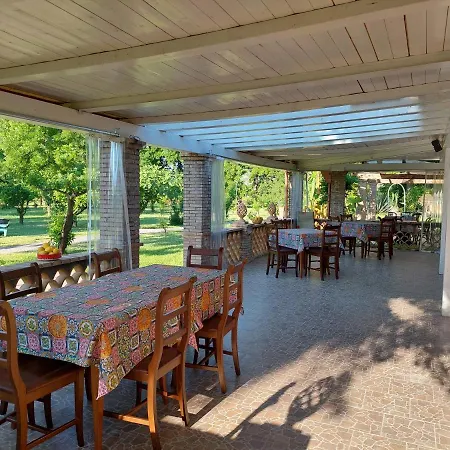 Piersepp 特拉皮泰罗