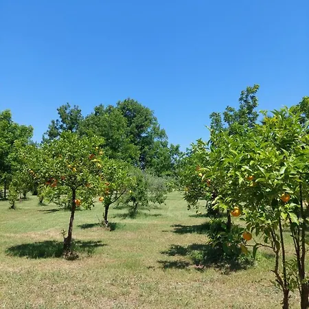 Frühstückspension Piersepp Trappitello